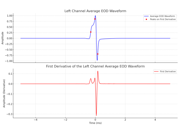 First Derivative of the Left Channel Average EOD Waveform.png
