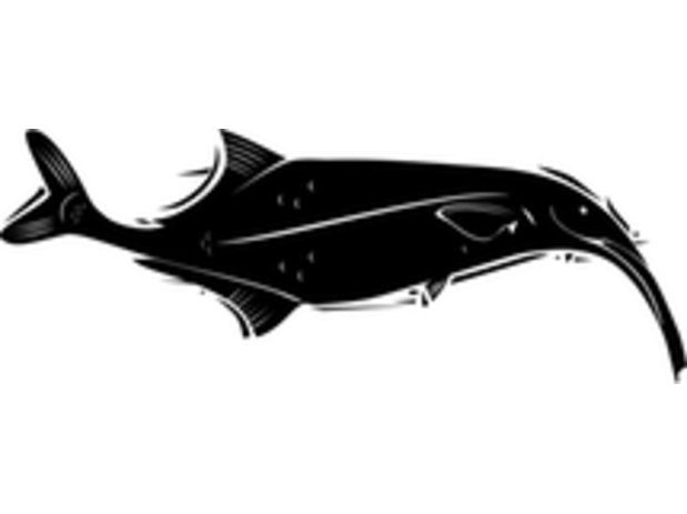 expert_logo_0.png