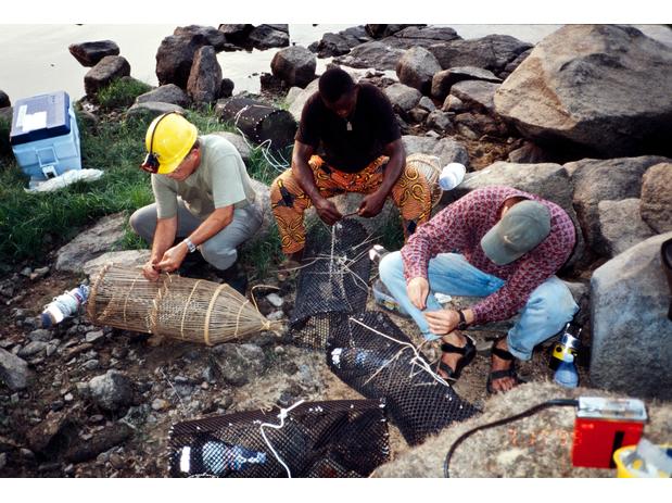 preparing fish traps at dusk, Lambaréné, Gabon