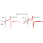 EOD waveform of Marcusenius ntemensis