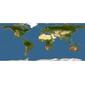 Discover Life: Point Map of Marcusenius furcidens