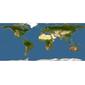 Discover Life: Point Map of Petrocephalus squalostoma